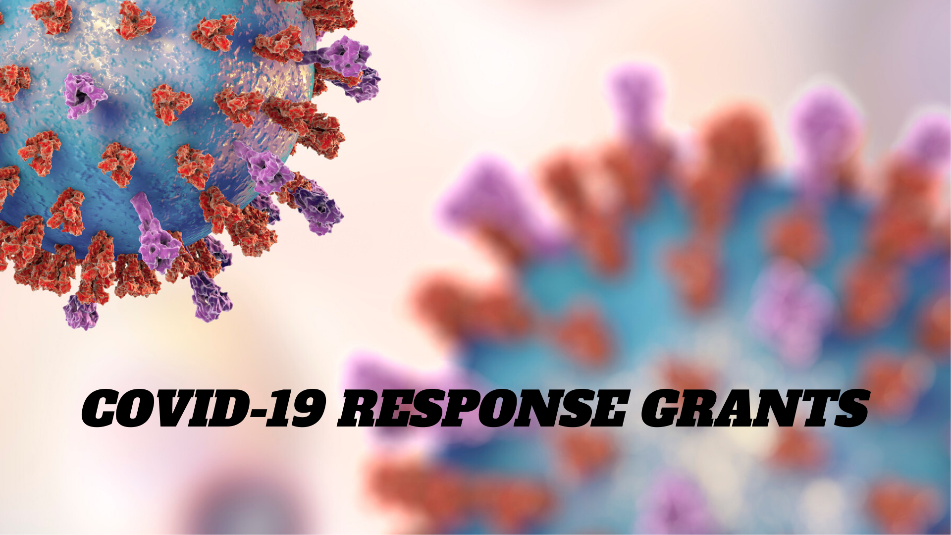 COVID-19 Response Grants