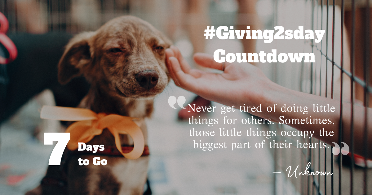 7 Days to Go Until #Giving2sday 2020 Facebook Ad